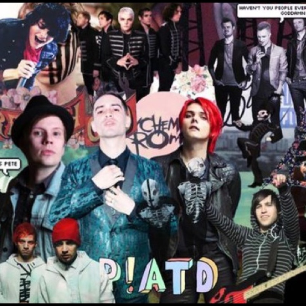 Meet your Posher, Sadie